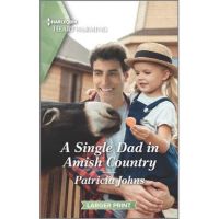 A Single Dad in Amish Country: A Clean and Uplifting Romance - Patricia Johns