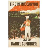 Fire in the Canyon - Daniel Gumbiner