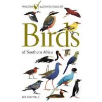 Birds of Southern Africa - Ber Van Perlo