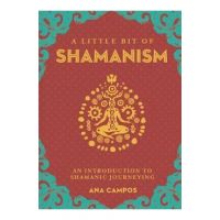 Little Bit of Shamanism, A