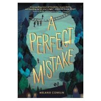 A Perfect Mistake - Melanie Conklin