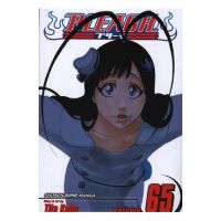 Bleach, Vol. 65