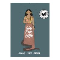 A Snake Falls to Earth - Darcie Little Badger