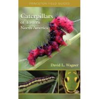 Caterpillars of Eastern North America: A Guide to Identification and Natural History - David L. Wagner