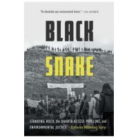 Black Snake: Standing Rock, the Dakota Access Pipeline, and Environmental Justice - Katherine Wiltenburg Todrys
