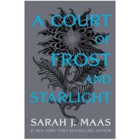A Court of Frost and Starlight - Sarah J. Maas