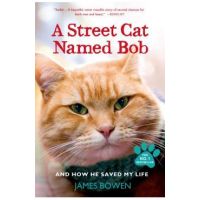 A Street Cat Named Bob and How He Saved My Life - James Bowen