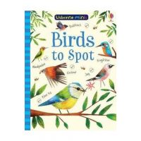 Birds to Spot - Sam Smith