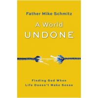 A World Undone: Finding God When Life Doesn't Make Sense - Fr Mike Schmitz