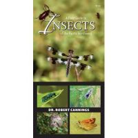 A Field Guide to Insects of the Pacific Northwest - Robert Cannings