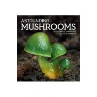 Astounding Mushrooms - Jaroslav Maly