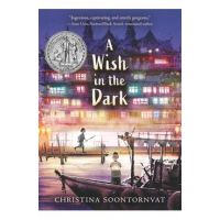 A Wish in the Dark - Christina Soontornvat