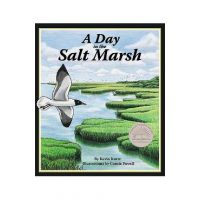 A Day in the Salt Marsh - Kevin Kurtz