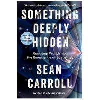 Something Deeply Hidden: Quantum Worlds and the Emergence of Spacetime - Sean Carroll