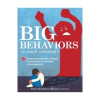 Big Behaviors in Small Containers: 131 Trauma-Informed Play Therapy Interventions for Disorders of Dysregulation - Paris Goodyear-brown