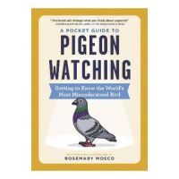 A Pocket Guide to Pigeon Watching: Getting to Know the World's Most Misunderstood Bird - Rosemary Mosco