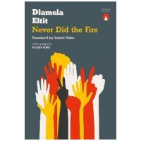Never Did the Fire - Diamela Eltit