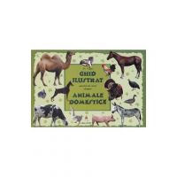 Ghid ilustrat pentru cei mici despre animale domestice - M. Tufan