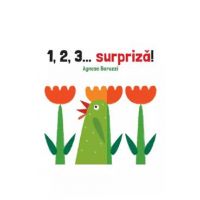 1,2,3... surpriza! - Agnese Baruzzi