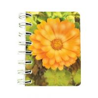 Carnet cu spirala: Floare portocalie. Neliniat