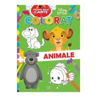 Disney bebe. Prima mea carte de colorat. Animale