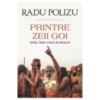 Printre zeii goi. India, intre extaz si miracol - Radu Polizu