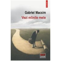 Vezi miinile mele - Gabriel Macsim