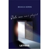 eBook Viata mea nu-i plagiat - Boaca Sorin
