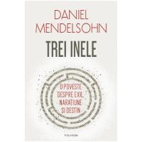 eBook Trei inele. O poveste despre exil, naratiune si destin - Daniel Mendelsohn