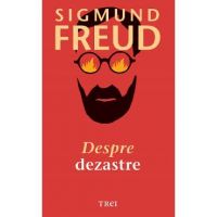 eBook Despre dezastre - Sigmund Freud