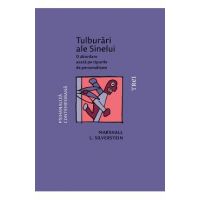 eBook Tulburari ale Sinelui. O abordare axata pe tipurile de personalitate - Marshall L. Silverstein