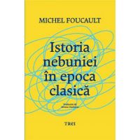eBook Istoria nebuniei in epoca clasica - Michel Foucault