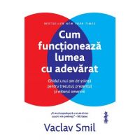 eBook Cum functioneaza lumea cu adevarat - Vaclav Smil