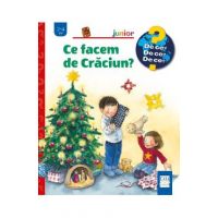 Ce facem de Craciun? - Andrea Erne