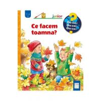 Ce facem toamna? - Andrea Erne