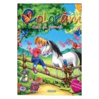 Coloram 5: Cai si ponei (Contine abtibilduri)