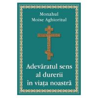 Adevaratul sens al durerii in viata noastra - Monahul Moise Aghioritul