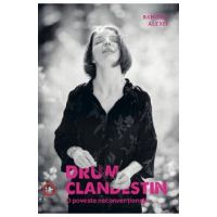 Drum clandestin. O poveste neconventionala - Ramona Alexei
