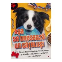 Asa se dreseaza un catelus!