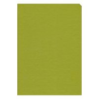 Agenda nedatata eco. Verde deschis