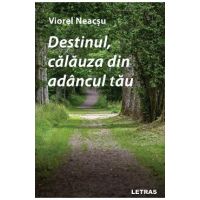 eBook Destinul, calauza din adancul tau - Viorel Neacsu