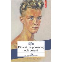 eBook Par auriu ca porumbul, ochi cenusii - Sjon