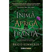 eBook O inima apriga si franta. Seria Distrugatorii de blesteme Vol.2 - Brigid Kemmerer