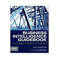 Business Intelligence Guidebook