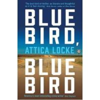 Bluebird, Bluebird