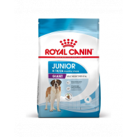 Royal Canin Giant Junior hrana uscata caine junior etapa 2 de crestere , 15 kg