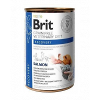 BRIT Veterinary Diet Recovery Salmon hrana refacere pentru caini si pisici 24x400 g