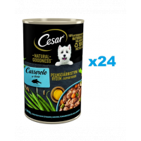 CESAR conserva hrana umeda pentru caini adulti 24x400g cu peste in sos