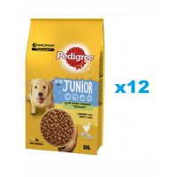 PEDIGREE Junior 12x500g Hrana uscata catei talie medie, cu pui