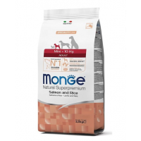 MONGE Mini Adult hrană uscată pentru câini de talie mică, cu somon și orez 2,5 kg